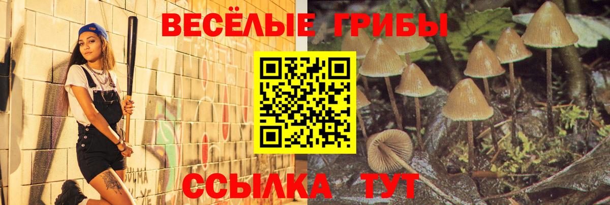 Галлюциногенные грибы прущие грибы  Галлюциногенные грибы Psilocybine cubensis  закладки  Бирск  Вход с VPN 